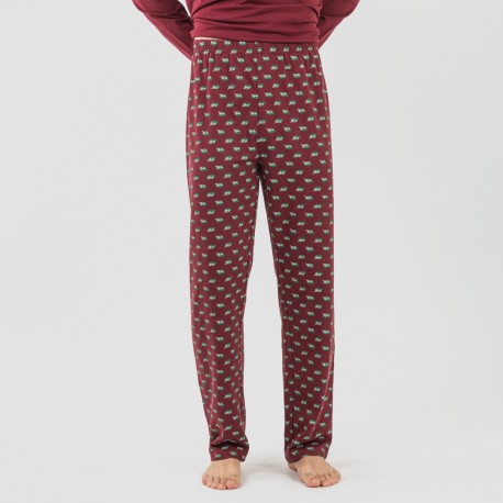 Pijama algodão homem Nino bordeaux