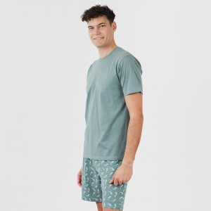 Pijama curto algodão homem Flip verde 2