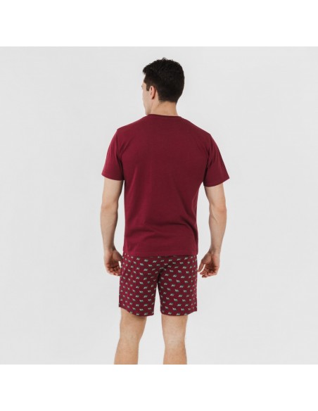 Pijama curto algodão homem Nino bordeaux Pijama curto algodão homem Nino bordeaux