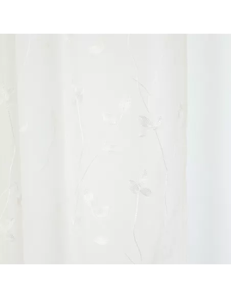 Cortina Pili Cortina Pili