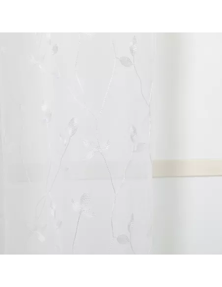 Cortina Pili Cortina Pili