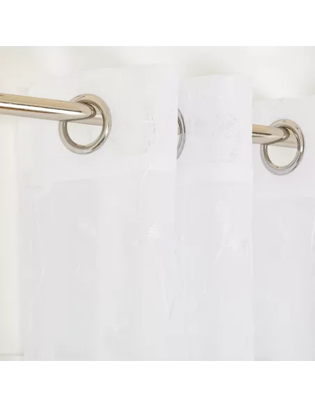 Cortina Pili Cortina Pili