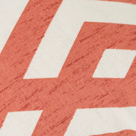 Almofada antimanchas Nela lisa 50x50