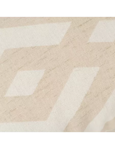 Almofada antimanchas Nela lisa 50x50