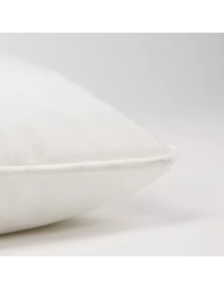 Almofada retangular 30x50 New veludo lisa