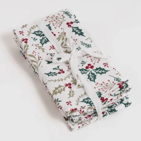 Conjunto 4 guardanapos Holly