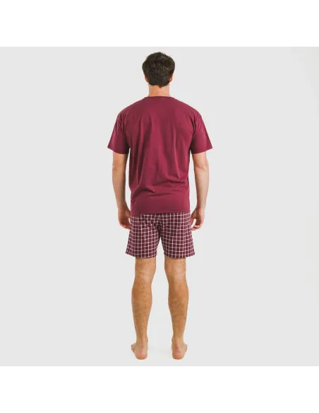 Pijama curto algodão homem Cuadro Roberto bordeaux