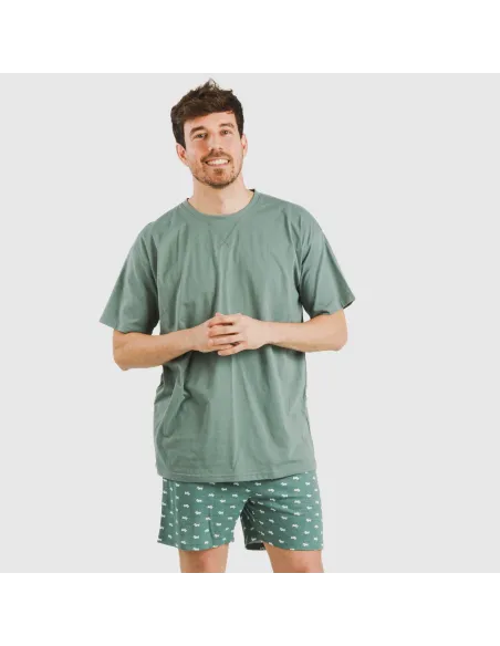 Pijama curto algodão homem Dawin verde