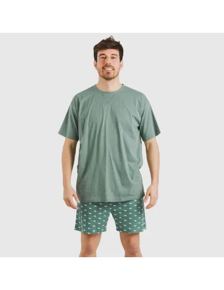 Pijama curto algodão homem Dawin verde