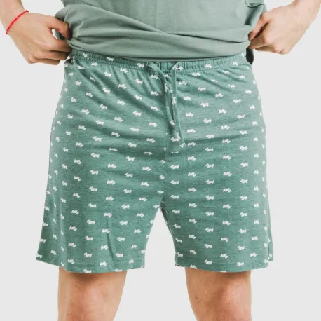 Pijama curto algodão homem Dawin verde