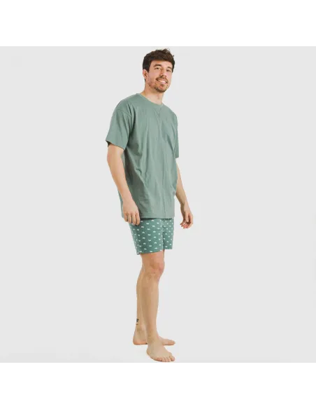 Pijama curto algodão homem Dawin verde