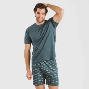 Pijama curto algodão homem Alexandro verde azulado