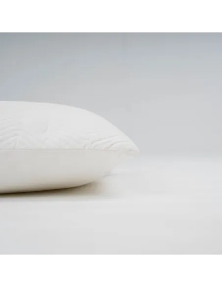 Almofada quadrada de veludo de algodão Hungria lisa 50x50 - capa + enchimento